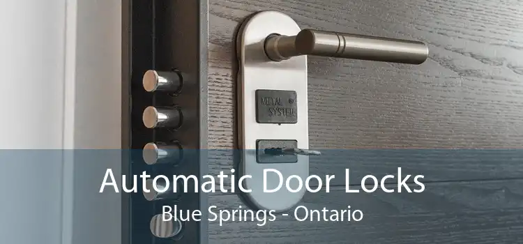 Automatic Door Locks Blue Springs - Ontario