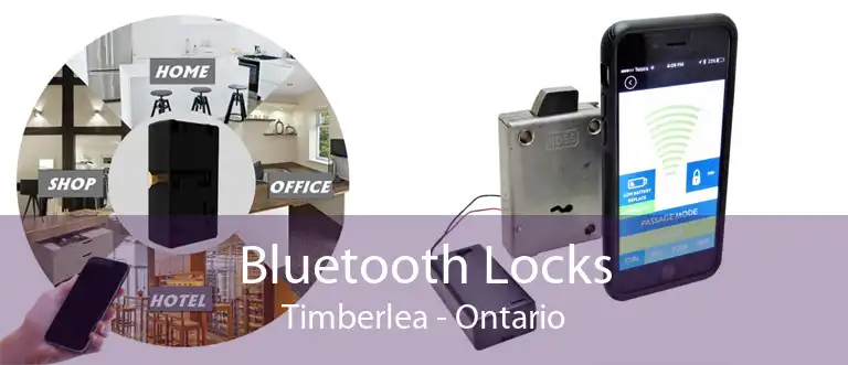 Bluetooth Locks Timberlea - Ontario