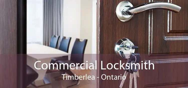 Commercial Locksmith Timberlea - Ontario