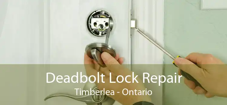 Deadbolt Lock Repair Timberlea - Ontario