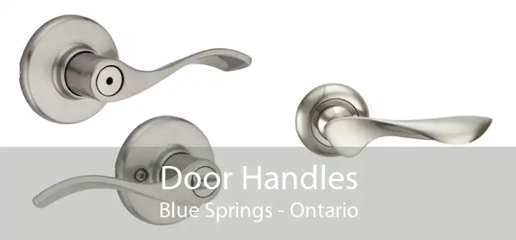 Door Handles Blue Springs - Ontario