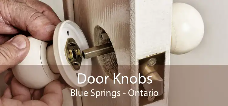 Door Knobs Blue Springs - Ontario
