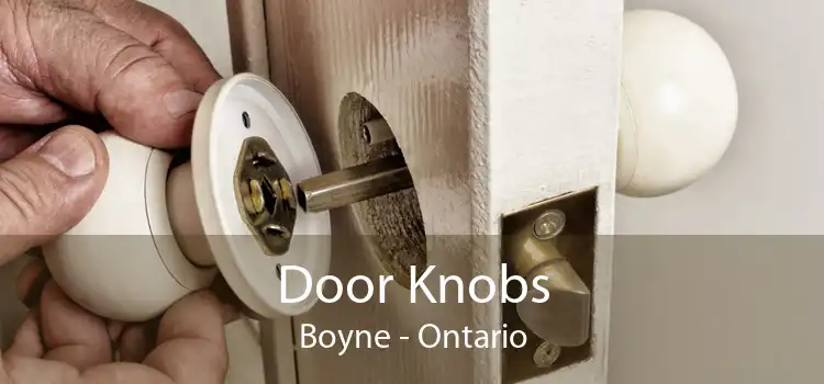 Door Knobs Boyne - Ontario