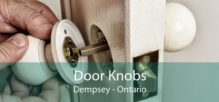Door Knobs Dempsey - Ontario