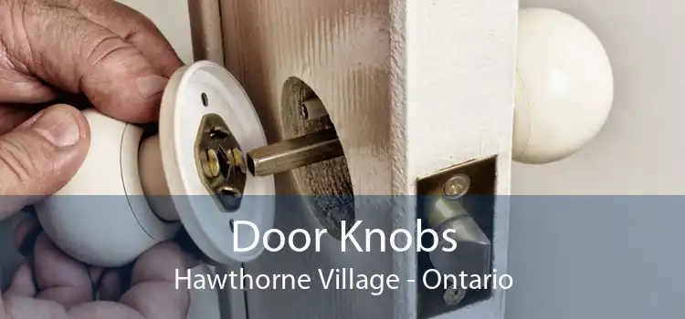 Door Knobs Hawthorne Village - Ontario