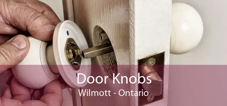 Door Knobs Wilmott - Ontario