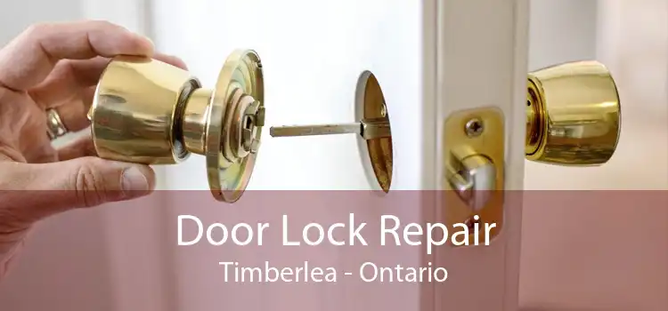 Door Lock Repair Timberlea - Ontario