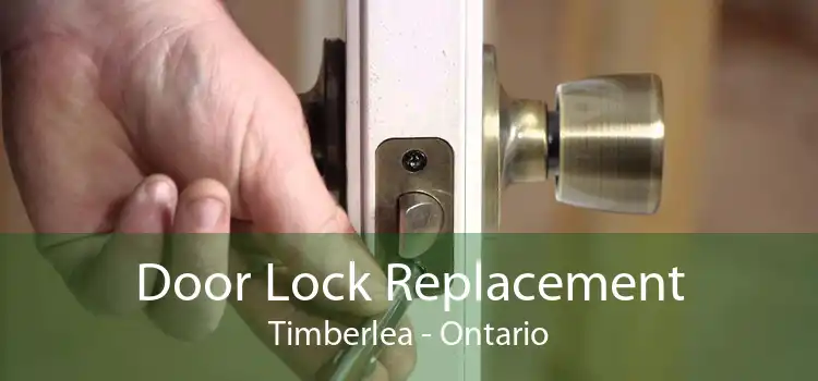 Door Lock Replacement Timberlea - Ontario