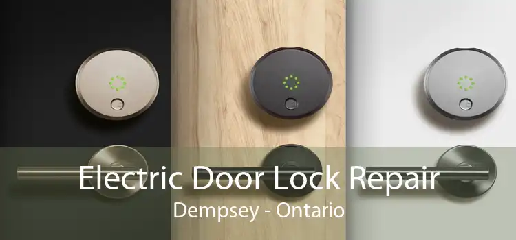 Electric Door Lock Repair Dempsey - Ontario