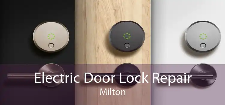 Electric Door Lock Repair Milton