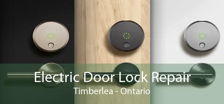 Electric Door Lock Repair Timberlea - Ontario