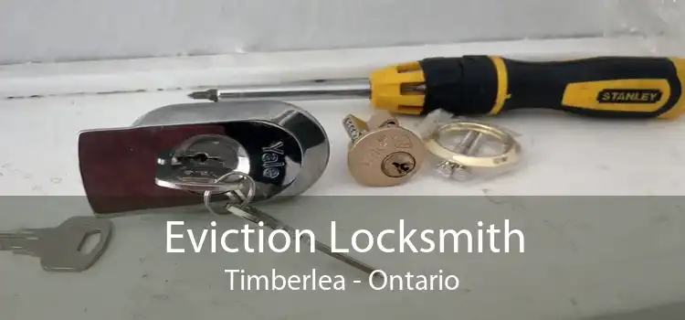 Eviction Locksmith Timberlea - Ontario