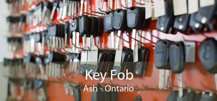 Key Fob Ash - Ontario