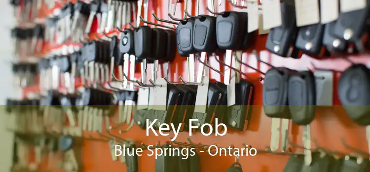 Key Fob Blue Springs - Ontario