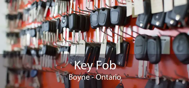 Key Fob Boyne - Ontario
