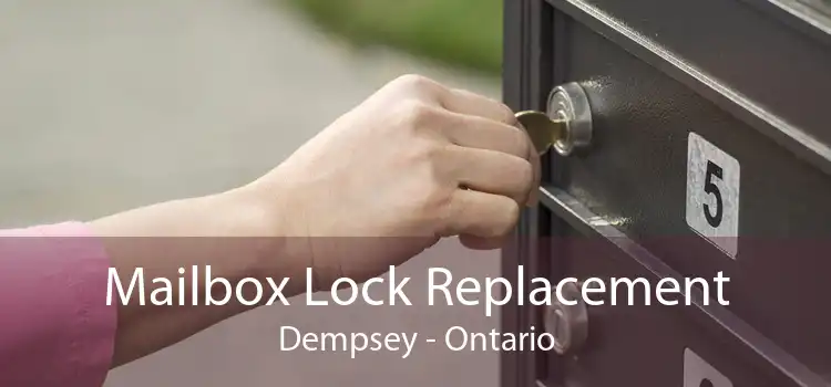 Mailbox Lock Replacement Dempsey - Ontario