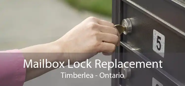 Mailbox Lock Replacement Timberlea - Ontario