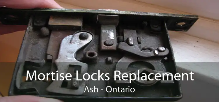 Mortise Locks Replacement Ash - Ontario