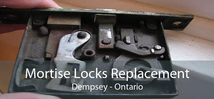 Mortise Locks Replacement Dempsey - Ontario