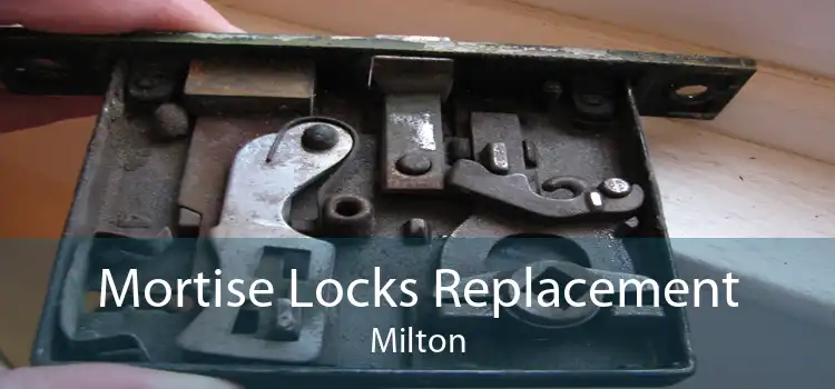 Mortise Locks Replacement Milton