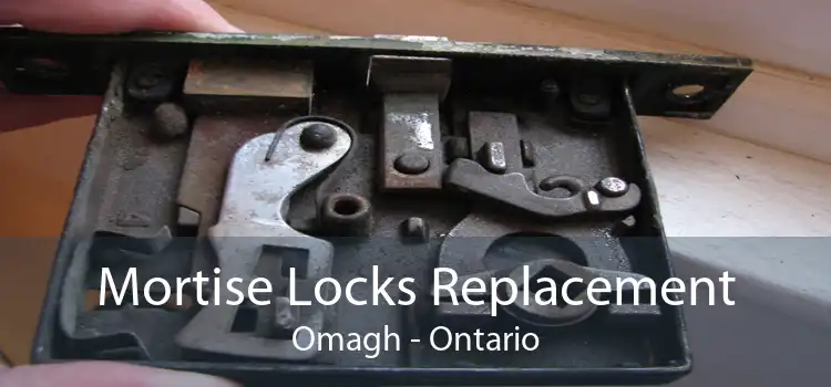 Mortise Locks Replacement Omagh - Ontario