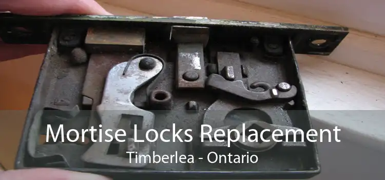 Mortise Locks Replacement Timberlea - Ontario