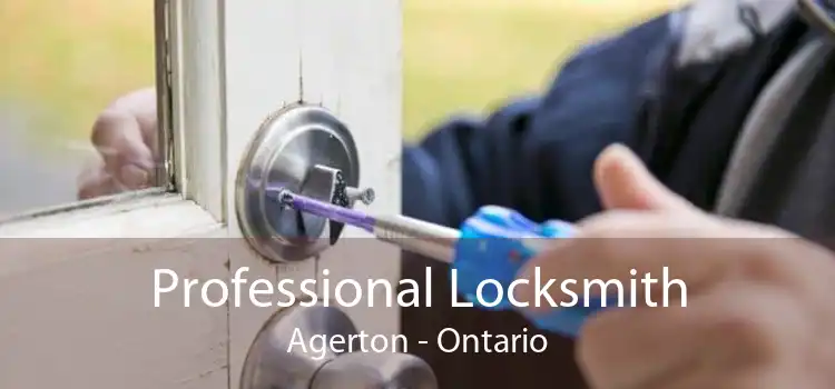 Professional Locksmith Agerton - Ontario