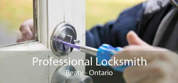 Professional Locksmith Beaty - Ontario