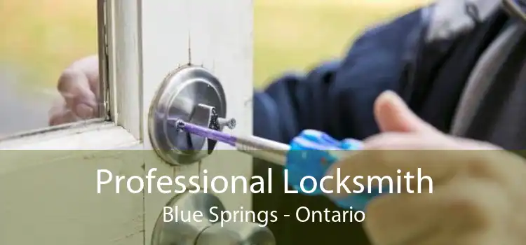 Professional Locksmith Blue Springs - Ontario