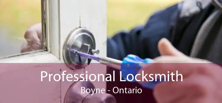 Professional Locksmith Boyne - Ontario