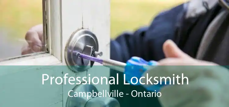 Professional Locksmith Campbellville - Ontario