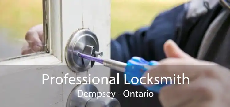 Professional Locksmith Dempsey - Ontario