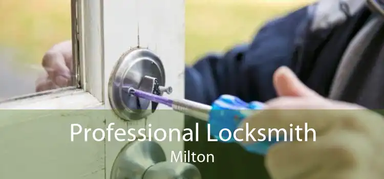 Professional Locksmith Milton