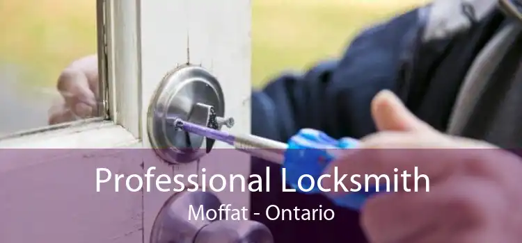 Professional Locksmith Moffat - Ontario