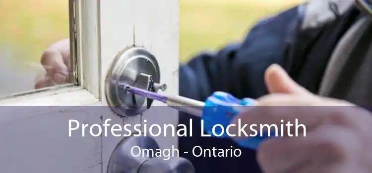Professional Locksmith Omagh - Ontario