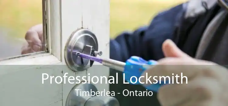 Professional Locksmith Timberlea - Ontario