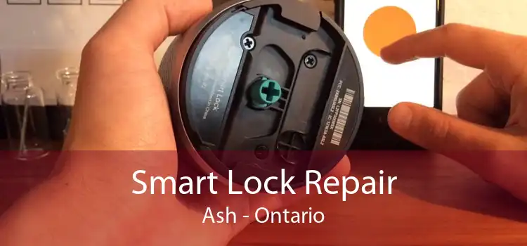 Smart Lock Repair Ash - Ontario