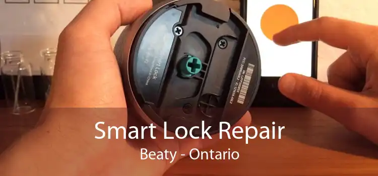 Smart Lock Repair Beaty - Ontario
