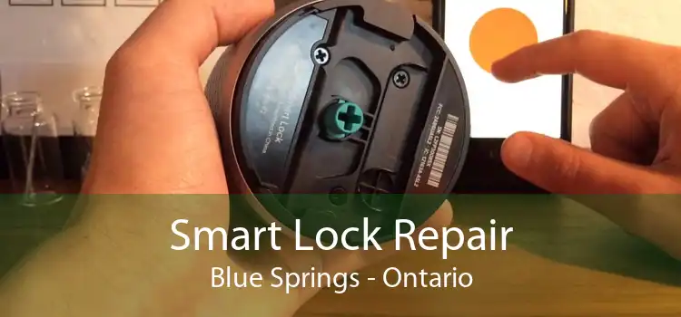 Smart Lock Repair Blue Springs - Ontario