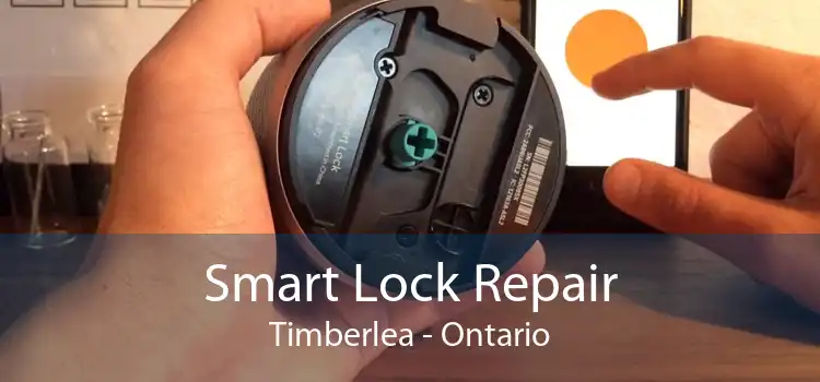Smart Lock Repair Timberlea - Ontario