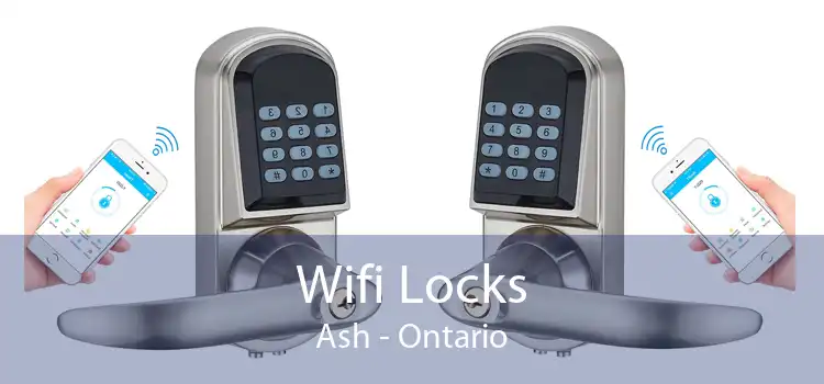 Wifi Locks Ash - Ontario