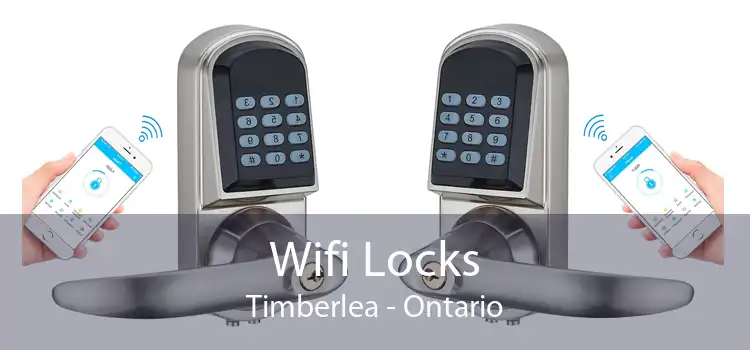 Wifi Locks Timberlea - Ontario